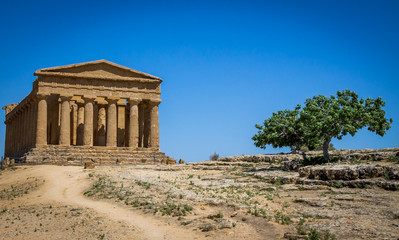 Fototapeta premium Greek ruins of Concordia Temple in the Valley of Temples - Agrigento, Sicily, Italy