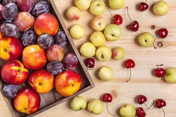 Naklejka na ściany i meble Nectarines, cherries and plums on the table.