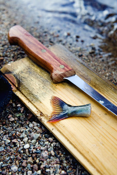 Sweden, Dalarna, Svardsjo, Knife and perch tail on cutting board