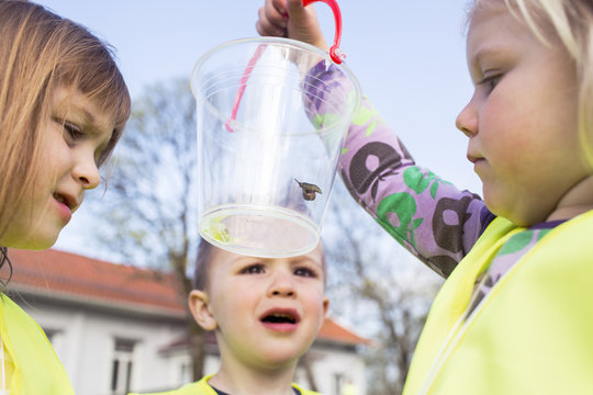 Sweden, Vastergotland, Olofstorp, Bergum, Kindergarten children (2-3, 4-5) learning outdoors