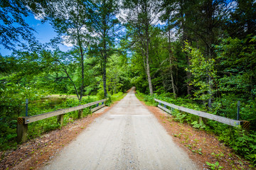 Bridge over a creek in the forest at Bear Brook State Park, New