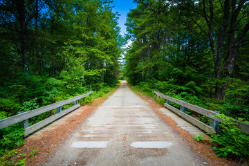 Obraz premium Bridge over a creek in the forest at Bear Brook State Park, New