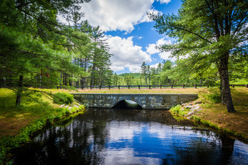 Bridge over a pond at Bear Brook State Park, New Hampshire.