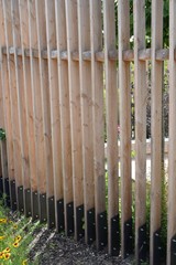 Fototapeta premium Sichtschutz im Garten aus Holzbretter