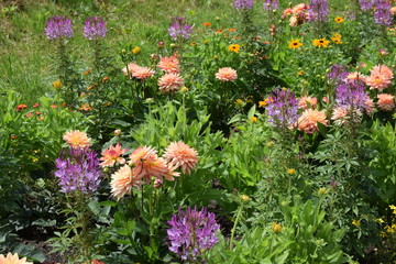 Blumenbeet