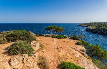 Obraz premium Bucht von Cala Pi Mallorca Spanien Mittelmeer Küste