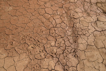 austrocknende Erde nach der Überschwemmung