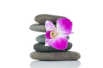 Naklejka na ściany i meble Orchid and spa-stones on white background