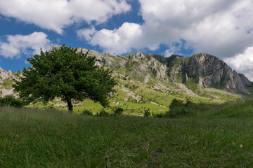 Fototapeta na wymiar Mountain landscape, Piatra Secuiului in Transilvania, Romania