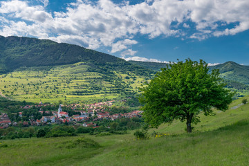 Obraz premium Traditional mountain village at the base of the hill in Romania