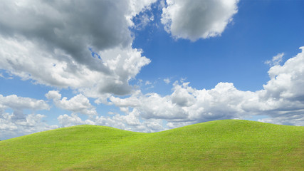 field of grass and perfect sky