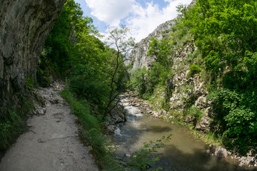 Fototapeta na wymiar River in the mountains at Cheile Turzii, Romania