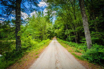 Fototapeta na wymiar Dirt road in the forest at Bear Brook State Park, New Hampshire.