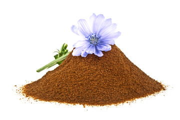 Blue chicory flower and powder of instant chicory isolated on a