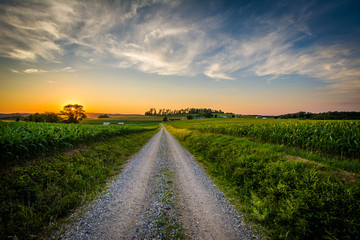 Farm fields along a dirt road at sunset, near Jefferson in rural