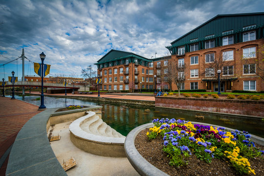 Flowers and buildings along Carroll Creek, in Frederick, Marylan