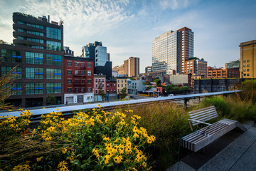 Flowers, bench, and view of buildings in Chelsea from The High L