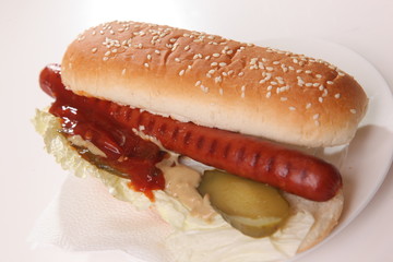 sausage in bun with sauce and pickles