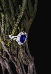 shiny jewelry ring with green leaves on black background