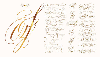 Hand drawn calligraphic set