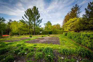 Fototapeta na wymiar Gardens at Cylburn Arboretum, in Baltimore, Maryland.