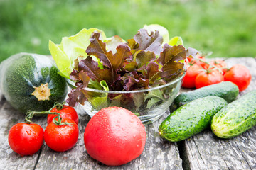 fresh organic vegetables on a rustic table in the garden