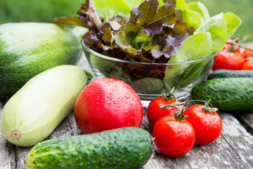 fresh organic vegetables on a rustic table in the garden