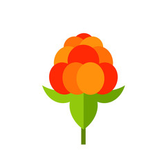 Single Cloudberry with Leaves Icon - obrazy, fototapety, plakaty