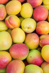 Delicious fruits at the market stall