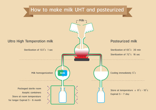 Infographic : How to make milk UHT and Pasteurization. vector