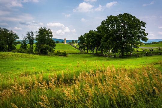Grasses and fields at Antietam National Battlefield, Maryland.