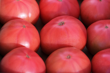 Tomatoes