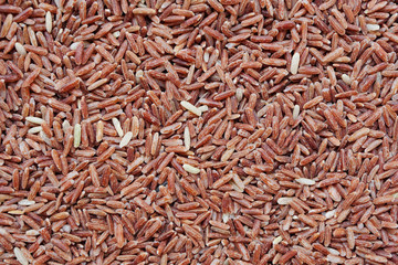 red or brown rice background close up shot