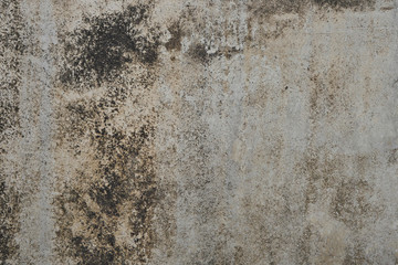 grunge cement, concrete background