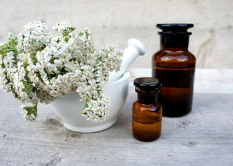 Schafgarbe,  Heilpflanze, Phytotherapie, Tinktur, Achillea millefolium, © behewa