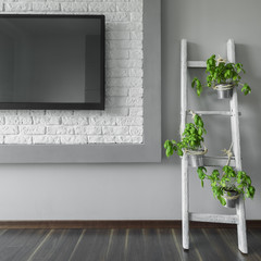 Flower stand made of old ladder