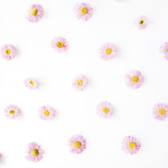 Fototapeta na wymiar chamomile pattern on white background. flat lay, top view