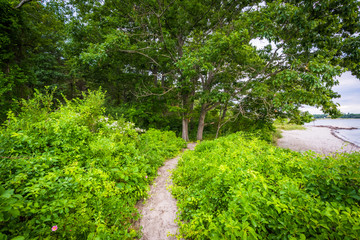 Narrow trail and coast at  Odiorne Point State Park, in Rye, New