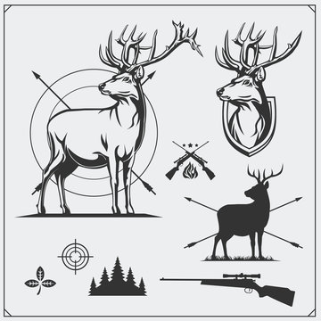 Deer hunt. Set of vintage hunting labels, badges and design elements.