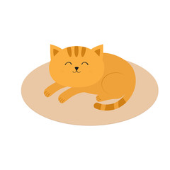 Cute orange cat lying sleeping on oval carpet rug mat. Moustache whisker. Funny cartoon character. White background. Isolated. Flat design.