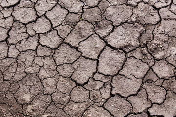 dry sandy earth of crack