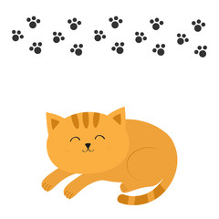 Cute lying sleeping orange cat with moustache whisker. Funny cartoon character. Black animal paw print. White background. Isolated. Flat design.