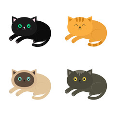 Lying cat icon set. Siamese, red, black, orange, gray color cats in flat design style. Cute cartoon character. Different eyes. White background. Isolated.