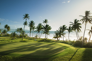 Trinidad and Tobago, Lowlands, Tobago, View of golf course at seaside