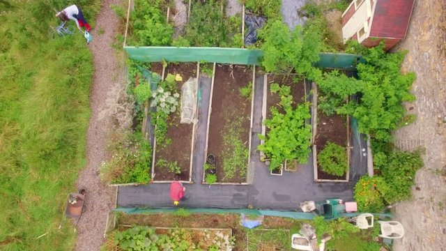 Drone Footage Of Couple Gardening In High Quality Format