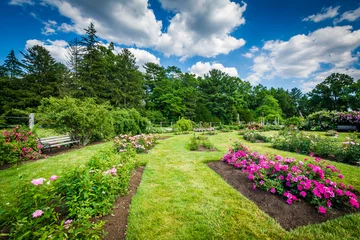 Printed kitchen splashbacks Garden Rose gardens at Elizabeth Park, in Hartford, Connecticut.