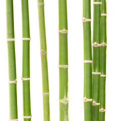 Naklejka premium Bamboo isolate on white background