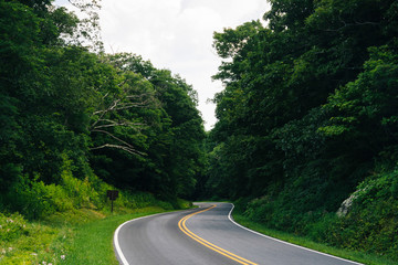 Skyline Drive, in Shenandoah National Park, Virginia.