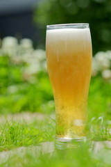 cold beer