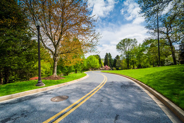 Fototapeta premium Spring color along a road at John Hopkins at Mount Washington, i